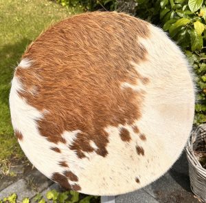 Sjamanendrum Paard